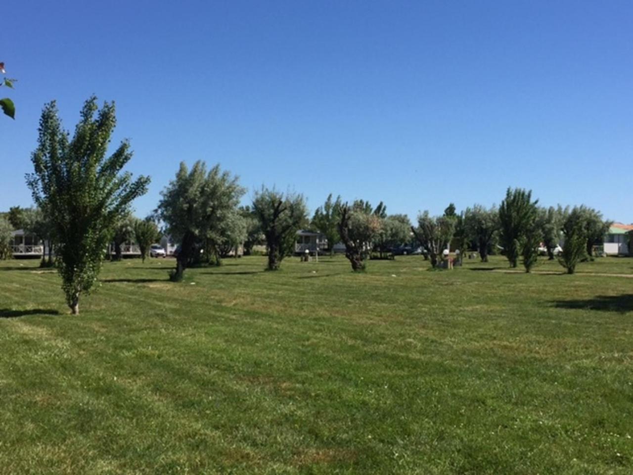 Camping Phare Ouest Saint-Denis-dʼOléron 外观 照片